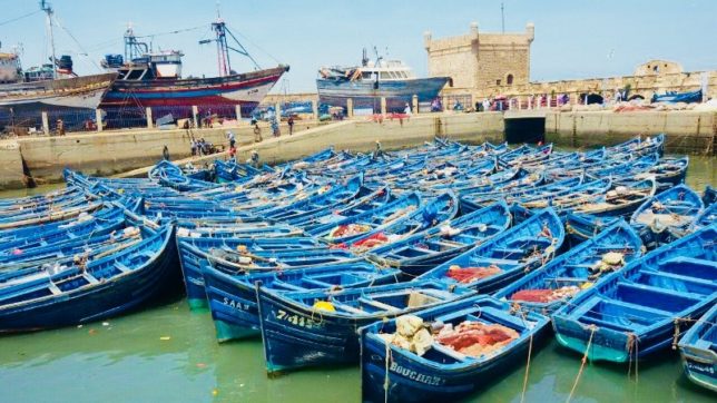 Day trip from Marrakech to Essaouira