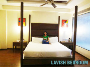 What to Expect from a Lavish Hotel/Report in Udaipur?