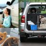 Traveling With Your Pet, Tips and Advice