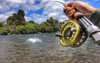 An Ultimate Guide to Fly Fishing Rods