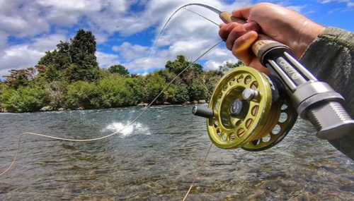 An Ultimate Guide to Fly Fishing Rods